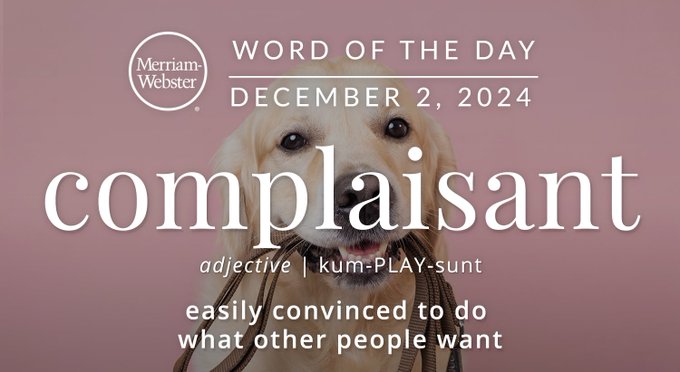 Merriam-Webster Word of the Day December 2, 2024 'complaisant' adjective | kum-PLAY-sunt "easily convinced to do what other people want" Background Image: a dog