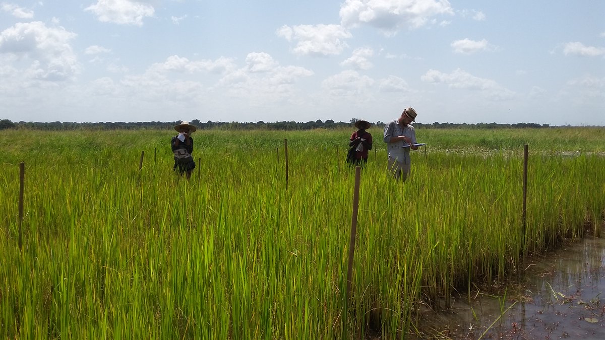 PathoBios tweet media