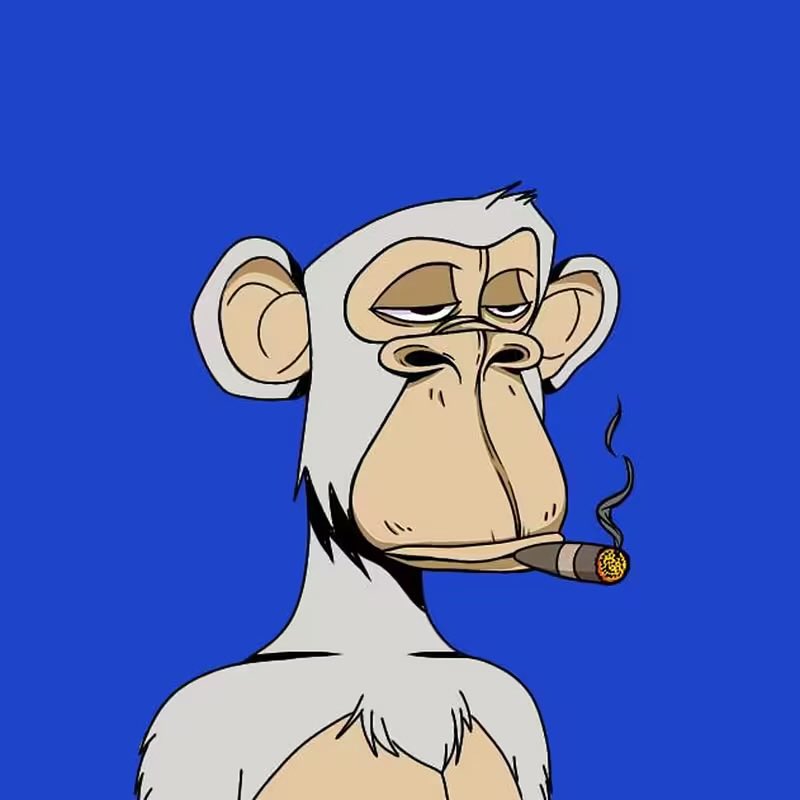 How are my Apes on Ape doing now? Is <a href="/smokethatdank1/">smokethatdank.eth 💎🦷</a> taking good care of you guys?

We are so back