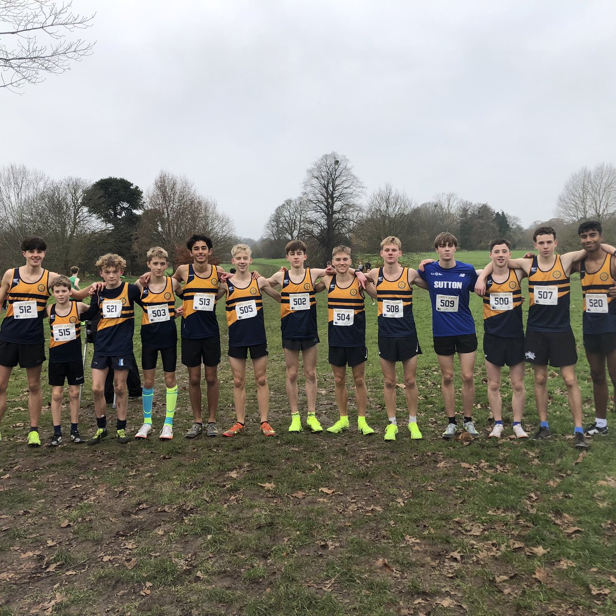 Maureen Hancock tweet media