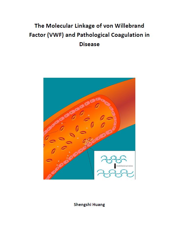 CARIM (@carimmaastricht) on Twitter photo #thesisdefence Tomorrow, Shengshi Huang will defend the thesis 'The Molecular Linkage of von Willebrand Factor (VWF) and Pathological Coagulation in Disease' at 12:45h <a href="/MaastrichtU/">Maastricht University</a>
📺youtube.com/@UMphddefense
📖cris.maastrichtuniversity.nl/en/publication…
#phdlife #thesisdefence Tomorrow, Shengshi Huang will defend the thesis 'The Molecular Linkage of von Willebrand Factor (VWF) and Pathological Coagulation in Disease' at 12:45h <a href="/MaastrichtU/">Maastricht University</a>
📺youtube.com/@UMphddefense
📖cris.maastrichtuniversity.nl/en/publication…
#phdlife