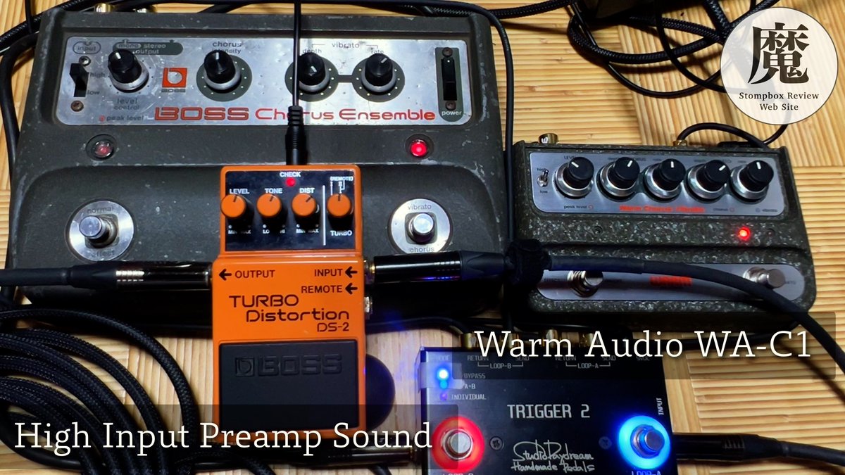 WARM AUDIO WA-C1 CE-1 完全クローン 即受取の方 ギター WARM AUDIO Warm