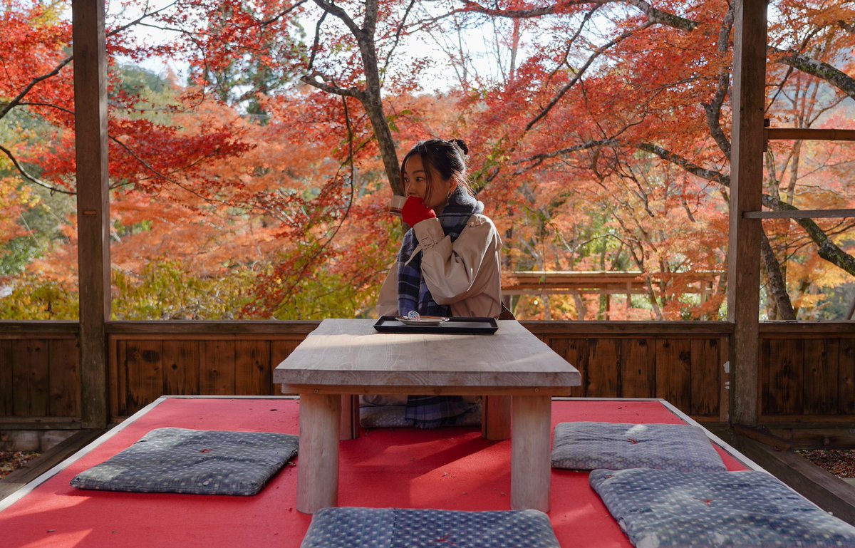 HiromiTang's tweet photo. もみじ🍁 https://t.co/jl5KOYAxCR
