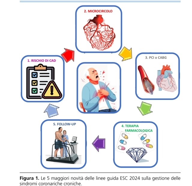 gitalcardiol's tweet photo. Ecco cosa c’è di nuovo nelle Linee Guida ESC 2024 sulle sindromi coronariche croniche #CCS by De Luca ed Indolfi
https://t.co/YptOAVAvj8 https://t.co/uQhbNHnPtx