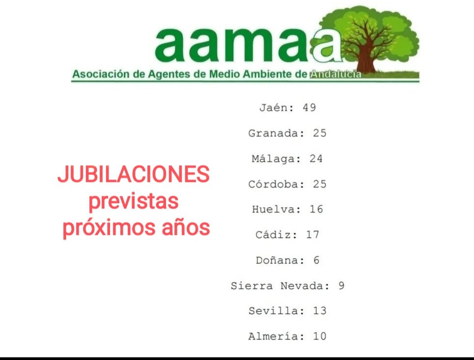 aamaa_es's tweet photo. Sra. Consejera @LinaGarcia_AND 
Ud. Conoce los datos.

Es su obligación dotar de personal su Consejería y que no la ninguneen. No somos un florero!

No admitiremos una #OEP irrisoria. Necesitamos varias con +100 plazas/año para evitar la extinción del cuerpo. 
Y lo vamos a pelear https://t.co/sKpVa3hsxq