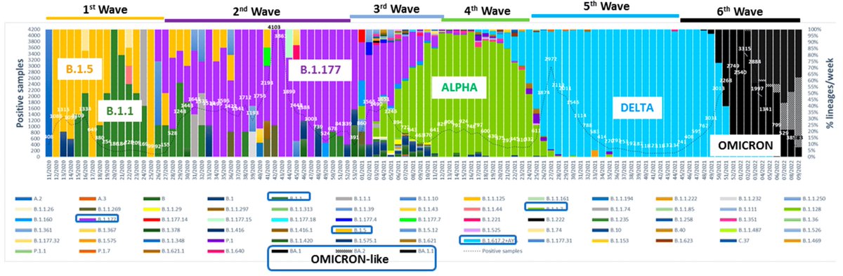 VirusesMDPI's tweet image. Next-Generation Sequencing for Confronting Virus Pandemics

✍️by Quer et al. 

👉mdpi.com/1999-4915/14/3…
#NGS #virus #pandemic #zoonosis