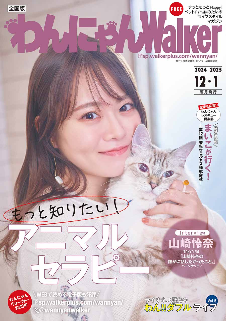 やまにゃん！ Aoshima 1/24 Model Car Kit MF Ghost Nismo Nissan GT-R R35