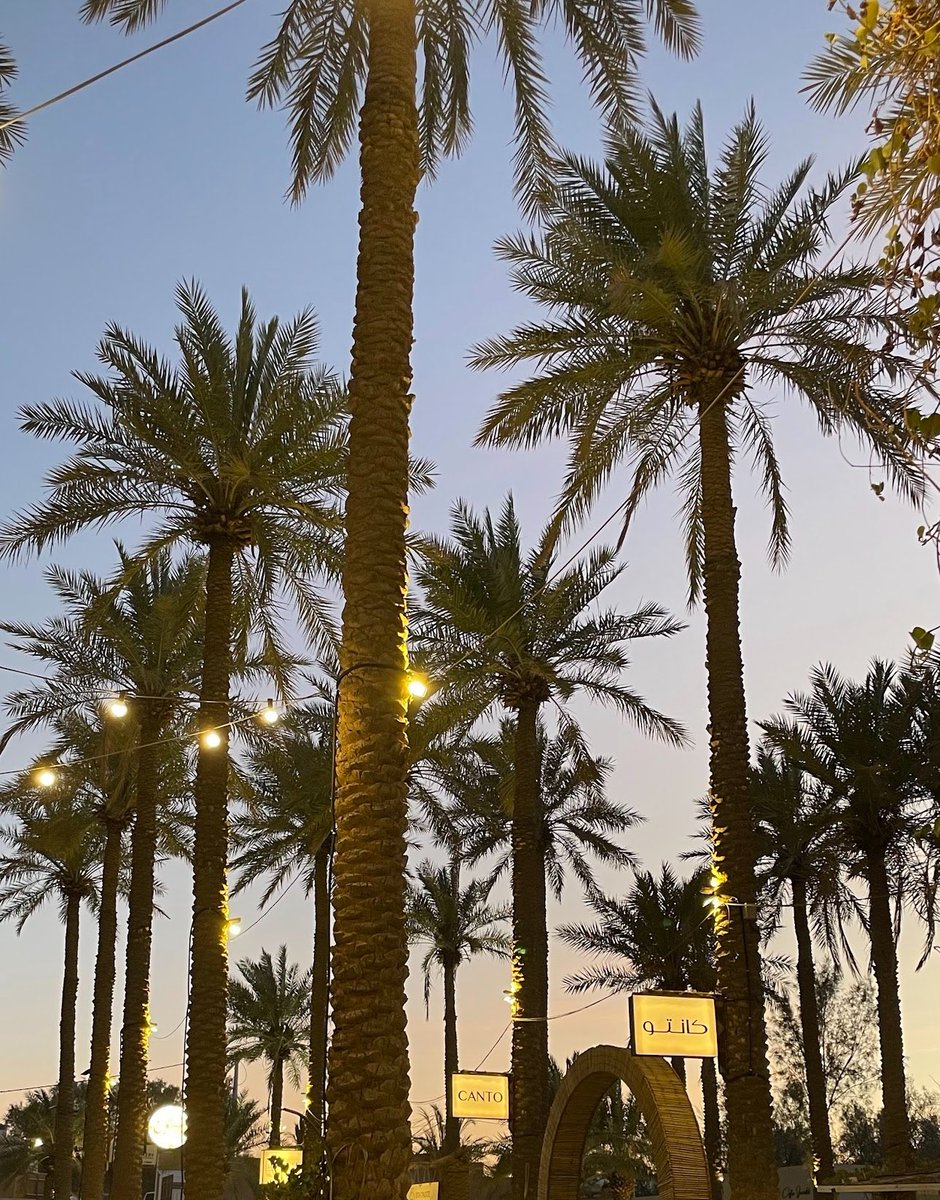 نكهات ومحاصيل  حول العالم كافيهات ومميزة ومطاعمفي مكان واحد جمعناهم بين النخيل بين الحاضر والماضي ننتظركم في مكانكم #مزرعة_السليم_القصيم