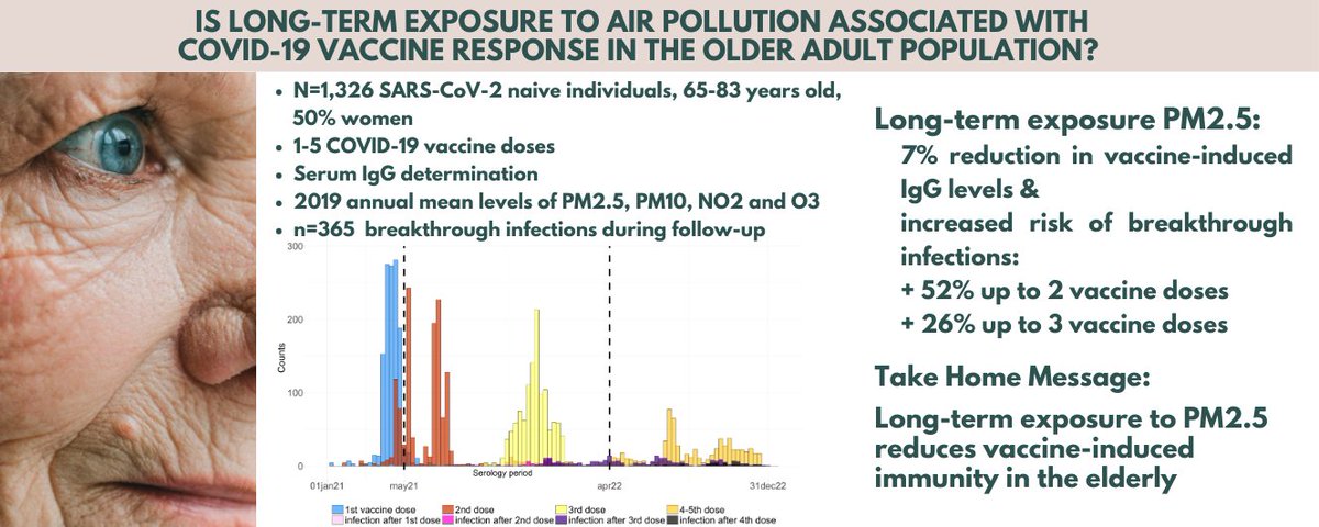 #Airpollution reduces #COVID19 vaccine-induced response in #olderadults…good news is, the effect vanishes with periodic booster doses. One more reason to sustain the #vaccins campaign! 

Epimed team <a href="/Uni_Insubria/">Uninsubria</a>, w/<a href="/MariannaKarach6/">Marianna Karachaliou</a> &amp; @KogevinasM 
👇
sciencedirect.com/science/articl…