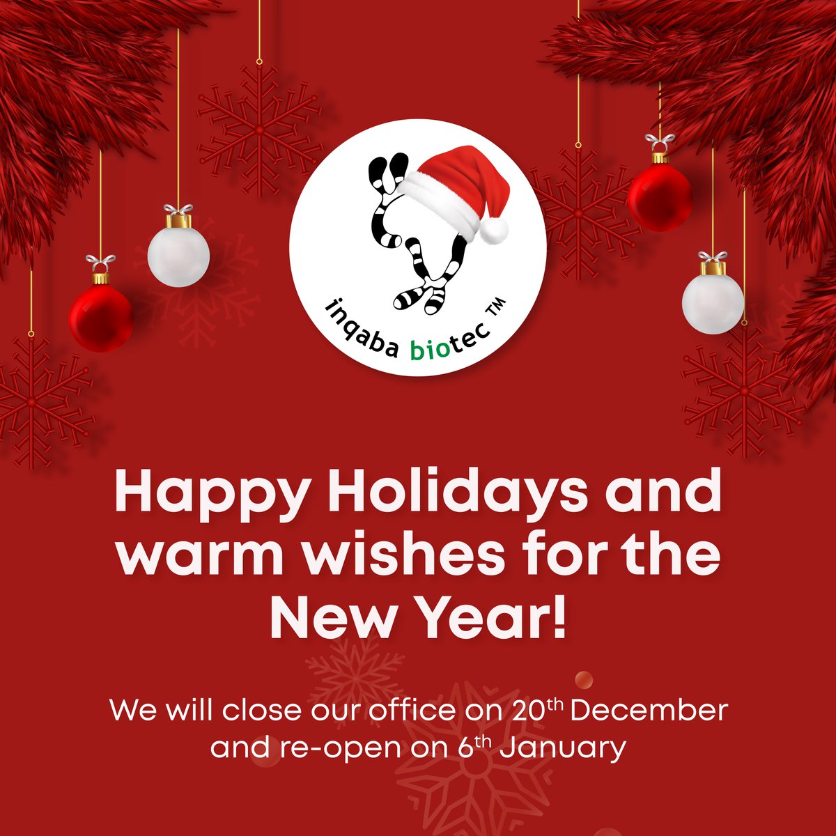 Happy Holidays and warm wishes for the New Year!

Our office will be closed on December 20th and reopened on January 6th.
