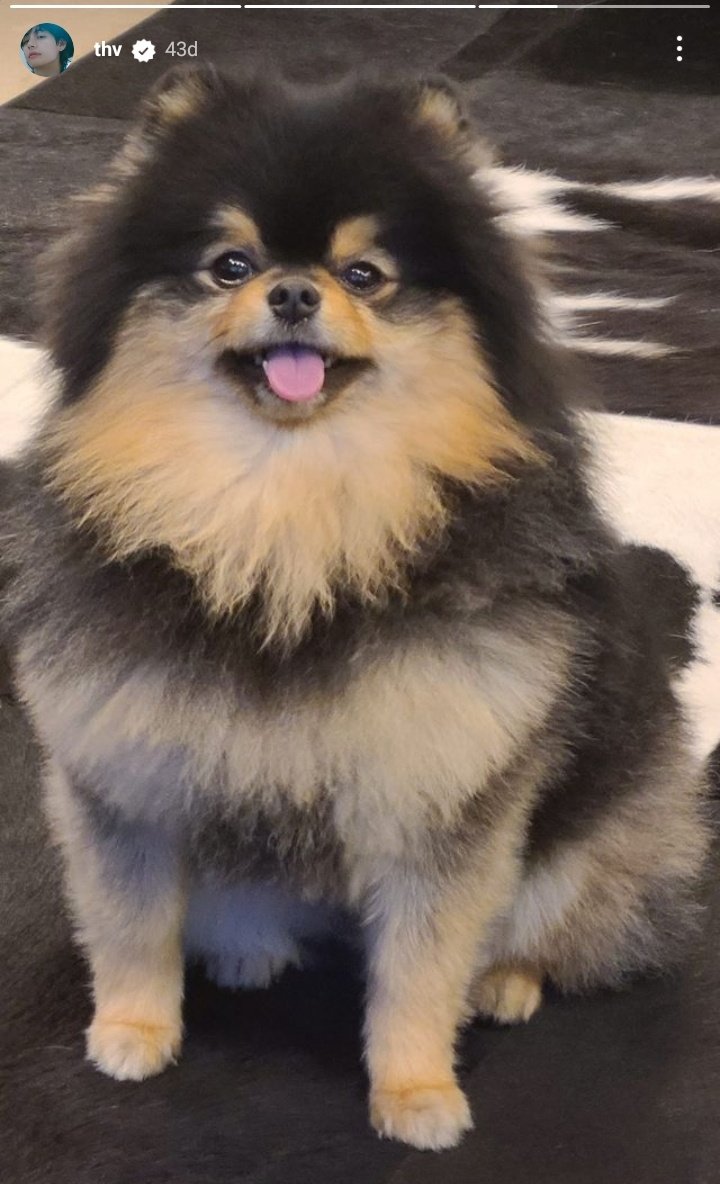 kimraaaa. tweet media