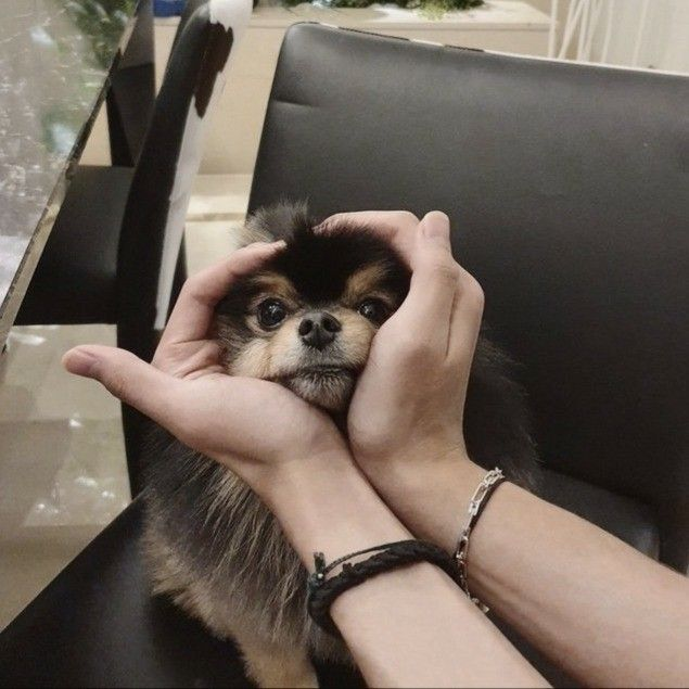 Aamyungv's tweet photo. This hurts me even more because it feels like I saw you grow up in front of my eyes, baby. Rest in peace, Tannie. I love you 🤍 https://t.co/nrGZSkhIJ1