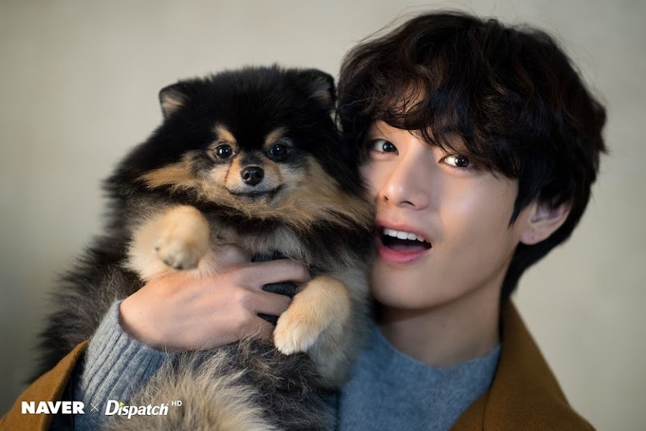 -star sedih bgt yeontan anjingnya taehyung meninggal :((