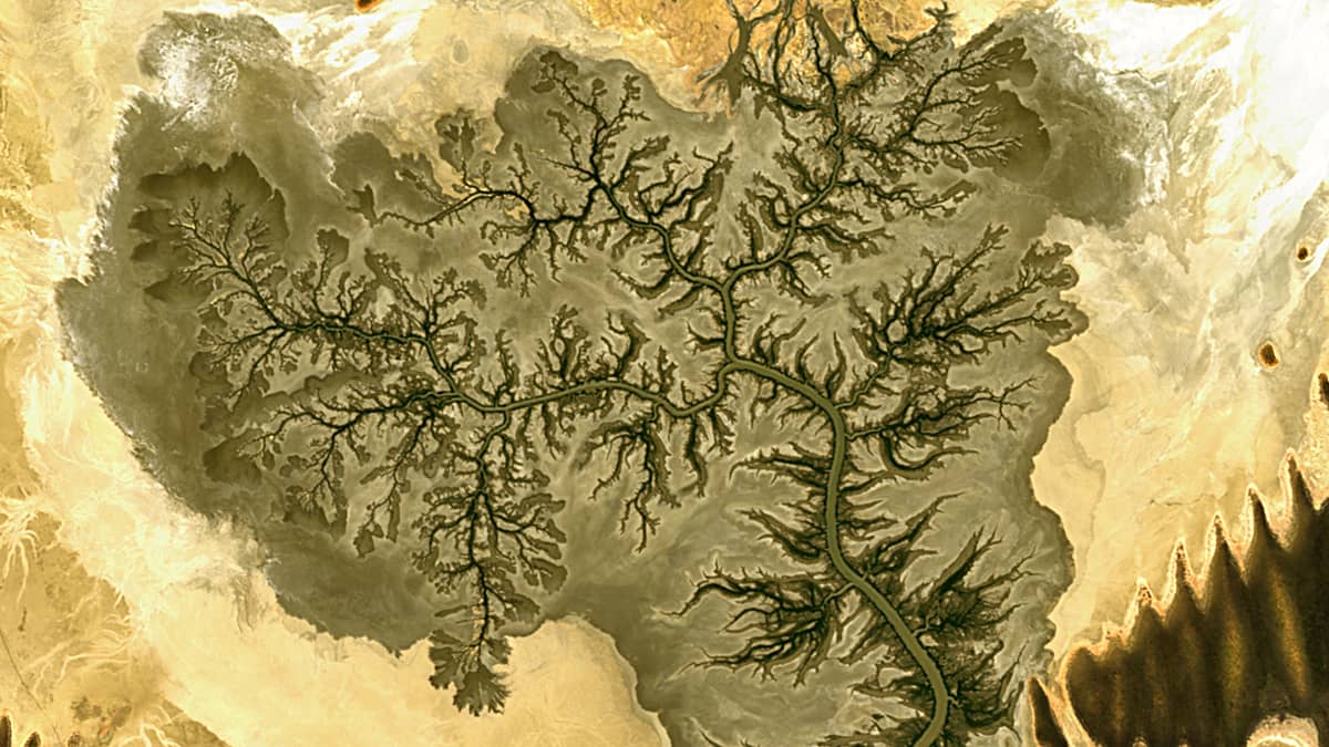 Brockmann Consult (@brockmanncon) on Twitter photo Explore the stunning fractal delta of Australia’s Fraser River, where tides sculpt a tree-like structure in King Sound! 🌊🌳 See it shift from bare branches to leafy growth in our new post, with images & an animation spanning half a year! #BCEarthGallery
👉bit.ly/3VeclDm Explore the stunning fractal delta of Australia’s Fraser River, where tides sculpt a tree-like structure in King Sound! 🌊🌳 See it shift from bare branches to leafy growth in our new post, with images & an animation spanning half a year! #BCEarthGallery
👉bit.ly/3VeclDm