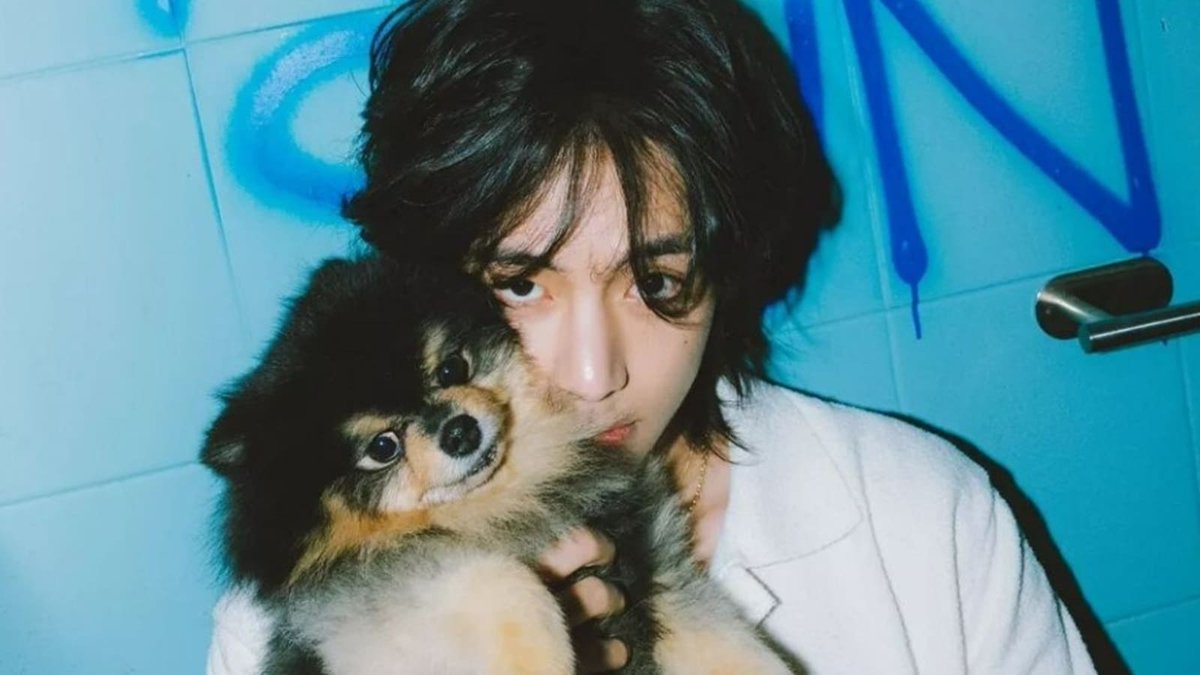thvmnijungkook's tweet photo. Taehyung le dedicó absolutamente todo un álbum a Yeontan. Fue parte del mismo, Layover.

Como amante de los animales sentí este gesto sumamente especial, único,  un animalito es un miembro más de la familia y Taehyung logró inmortalizar a su Yeontanie, ahora ya... para siempre.🌟