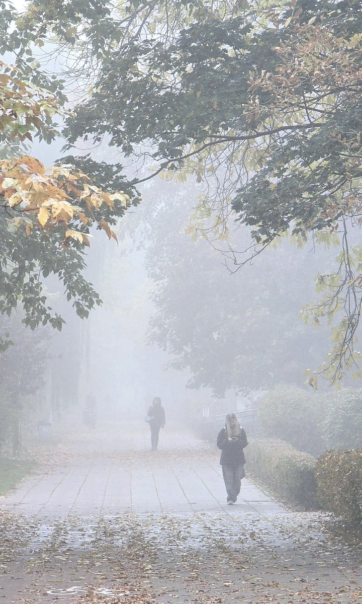 justyna_buszko's tweet image. #AlphabetChallenge #WeekWforWhite
A fogg.