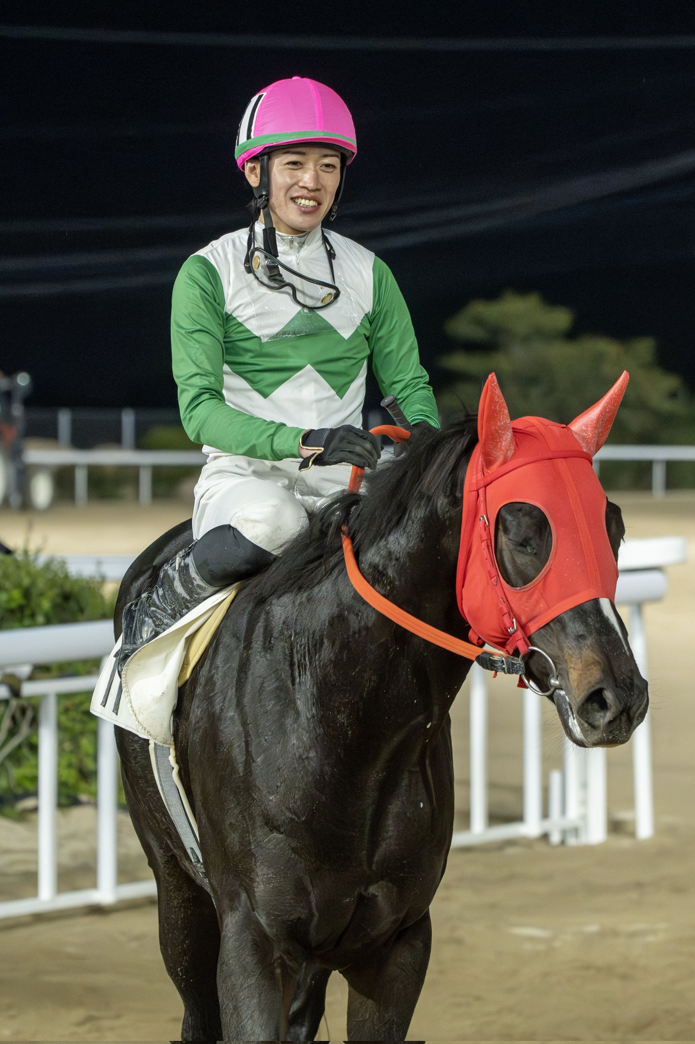 競馬占いと作戦 【書き込みあり】 競馬】ダートでは「牡・セン馬」を狙え！新馬戦で役立つデータは