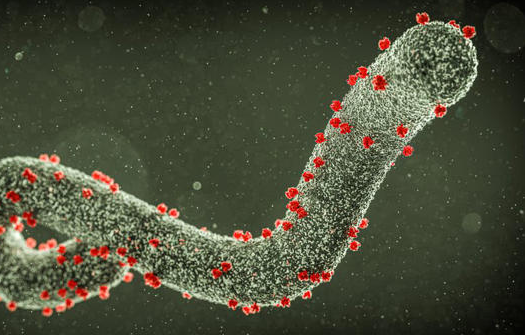 firehorse249791's tweet photo. [MPox] New travel warning as three diseases spread and one comes to UK https://t.co/4yf2fvOB1s #ClimateCrisis #ZoonoticDisease #Wildlife #Marburg #MPox #Clade1b #Oropouche #Virus #Mortality #Leeds #England #Brazil #Africa #Worldwide https://t.co/U4TmU2ZFG7
