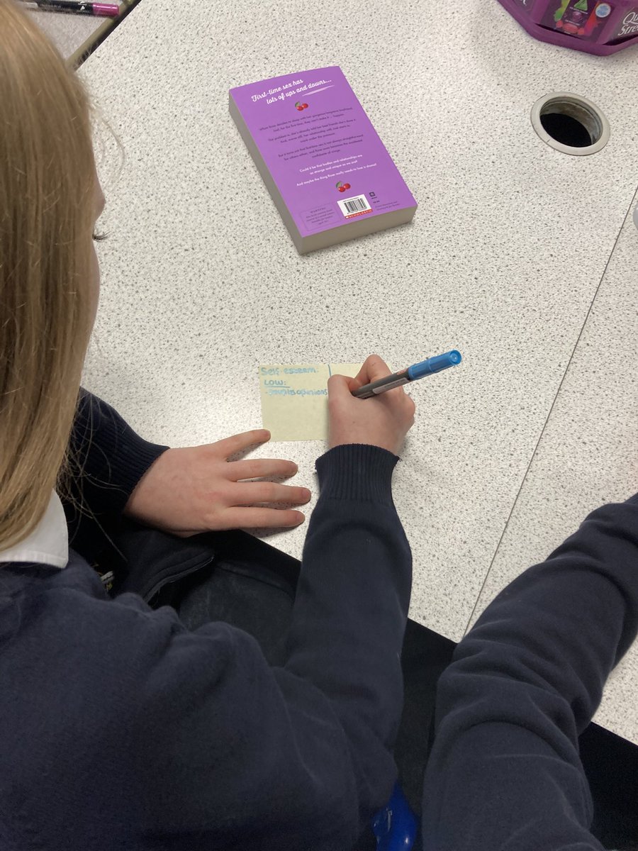 We were so lucky to have author Rebecca Anderson come to school to deliver workshops with Year 11 girls on the themes in her novel, Officially Losing It! Students discussed themes of self-esteem and relationships, learnt about publishing, and dreamt up their own ideas for novels.