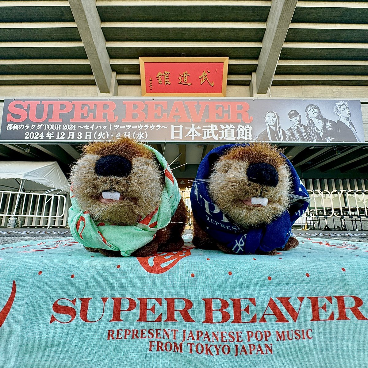 明 日！】 #SUPERBEAVER 都会のラクダ TOUR 2024 〜セイハッ!ツーツー
