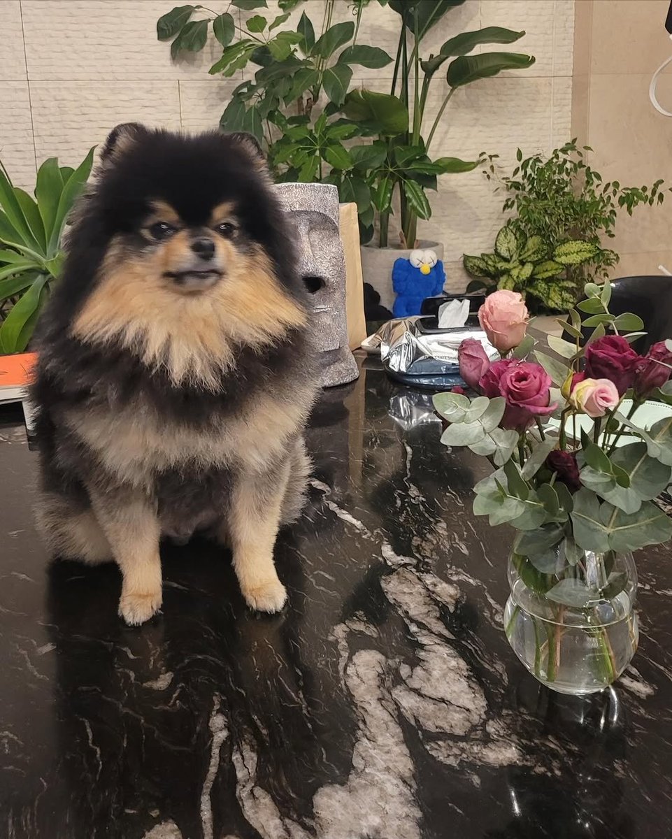 voung1230's tweet photo. #태형 인스타 (1)

우리 연탄이 행복해 https://t.co/e3vw2wlT6K