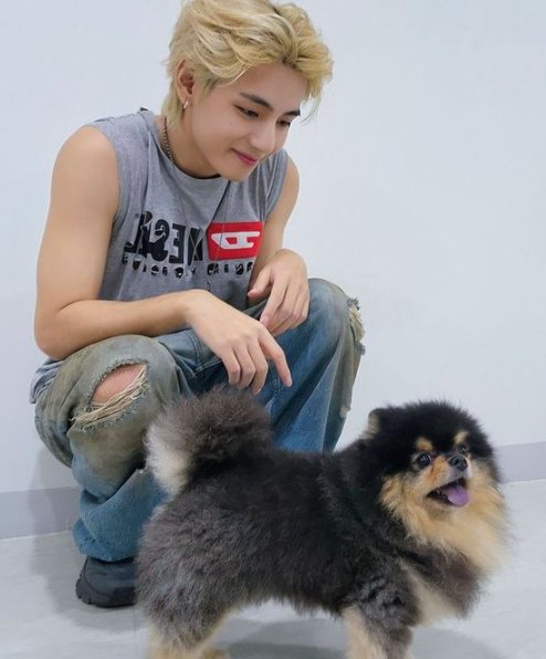KTHIndonesia's tweet photo. Besarnya sayangnya Taehyung untuk Yeontan, sedih banget ya Tuhan 😭 https://t.co/fz0spH5JtT