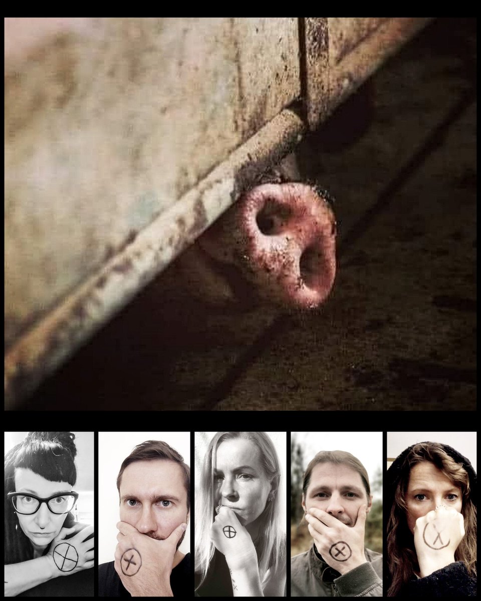 🌥️ Šajā laikā gaismas ir maz. Bet tepat ir vietas, kur saule neiespīd nemaz, ar būtnēm, kas sauli nesajūt. Šobrīd, gada tumšākajā laikā, dzīvības atņem dzīvniekiem, kuru miesu liks uz *gaišāko* svētku galdiem. Latvijā >1000 🐷🔪 katru dienu.

Dzīvo un ļauj dzīvot!

ⓧ 👉 #AFOTS