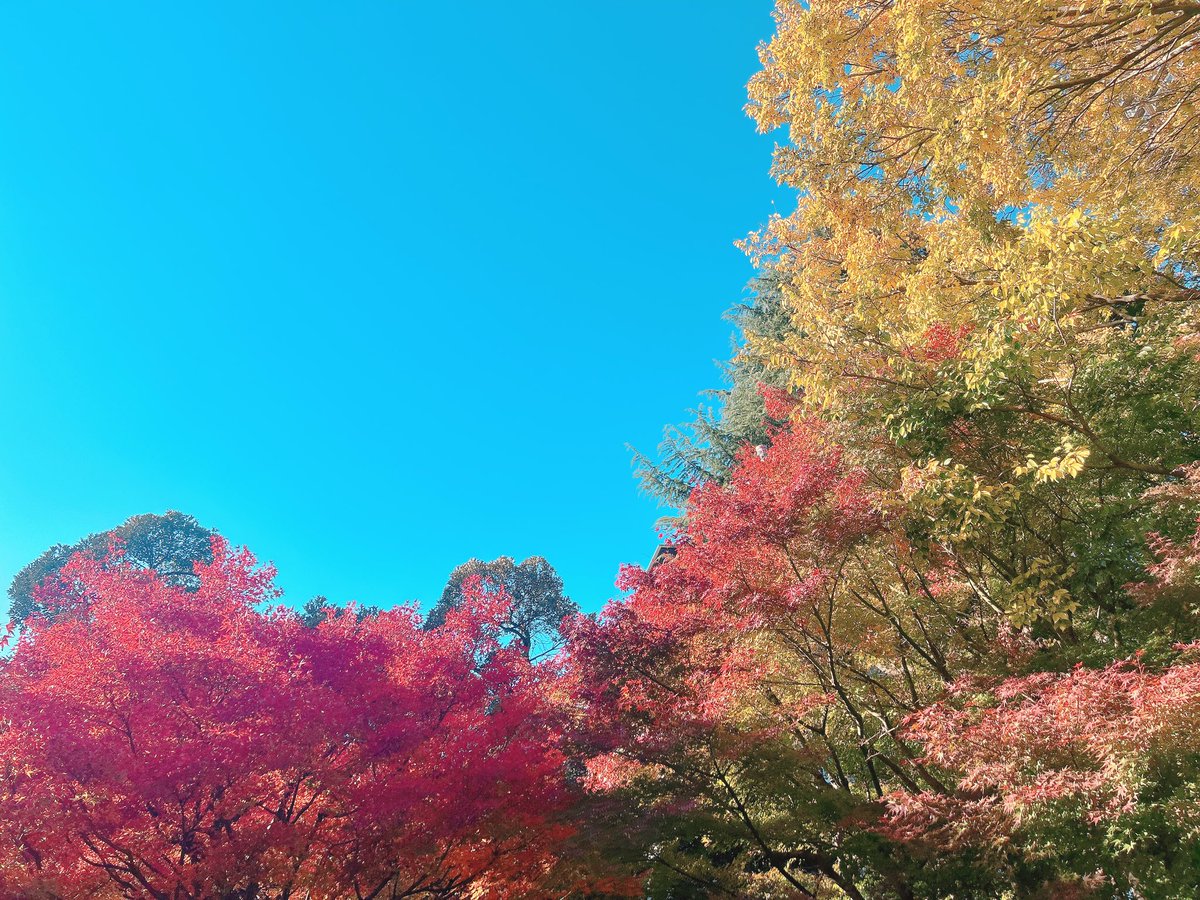 市ノ瀬秋羽 