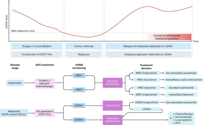 NatRevClinOncol's tweet photo. In a Review now published online, Fei Zhou, Haoyue Guo, Yang Xia, Xiuning Le, Daniel Tan, Suresh Ramalingam &amp; Caicun Zhou provide a comprehensive overview of the treatment landscape for EGFR-mutant non-small-cell #lungcancer https://t.co/W7nT6149Za https://t.co/KWC6ziL5C9
