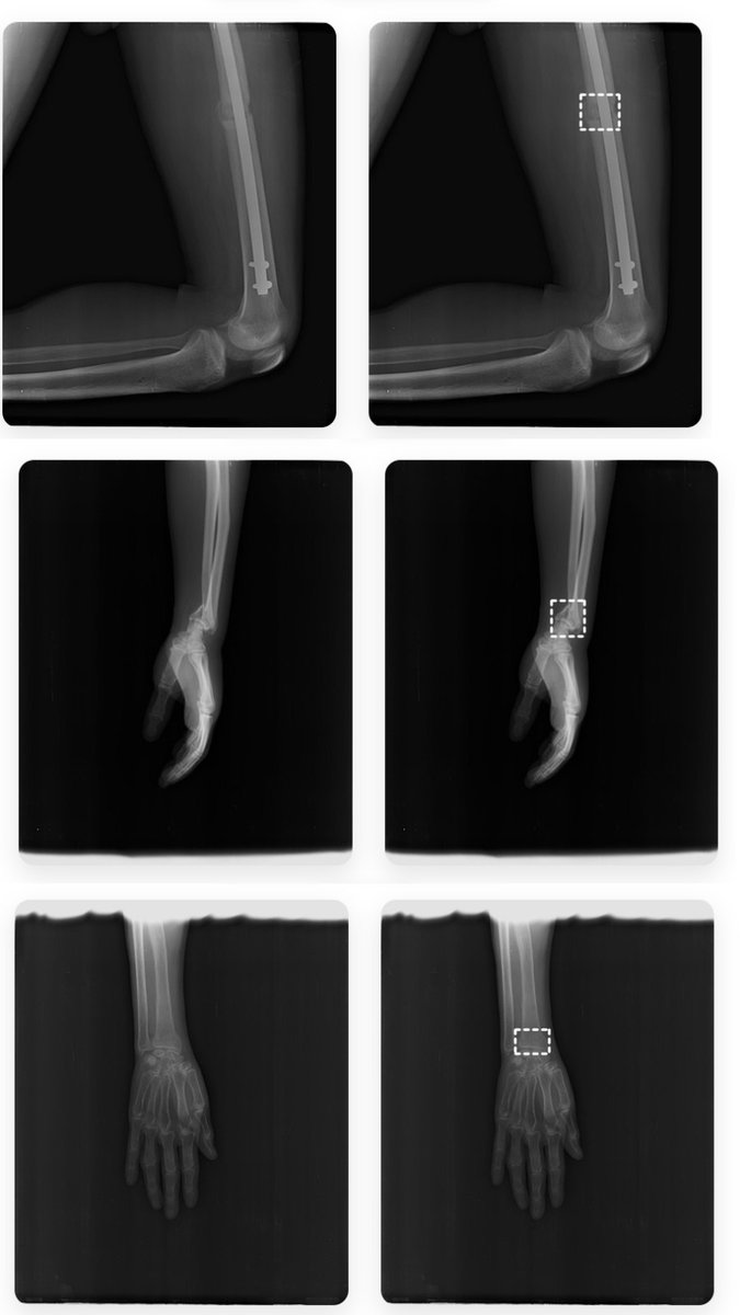 easiofysolutions tweet media