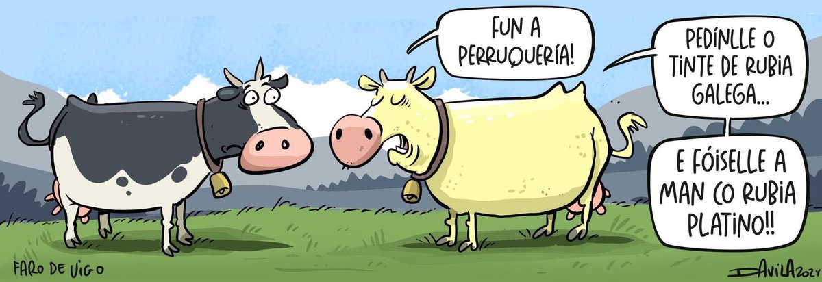 OBichero's tweet image. Tinte #humorgalego #davila #obichero