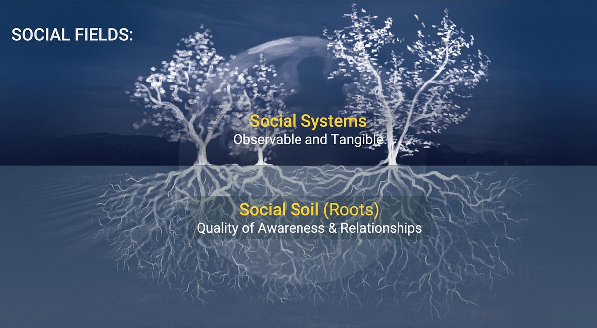François Knuchel tweet media