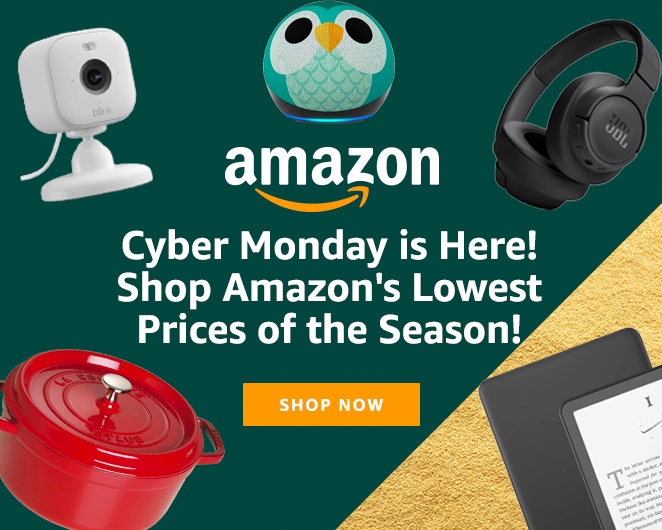Black Friday tweet media