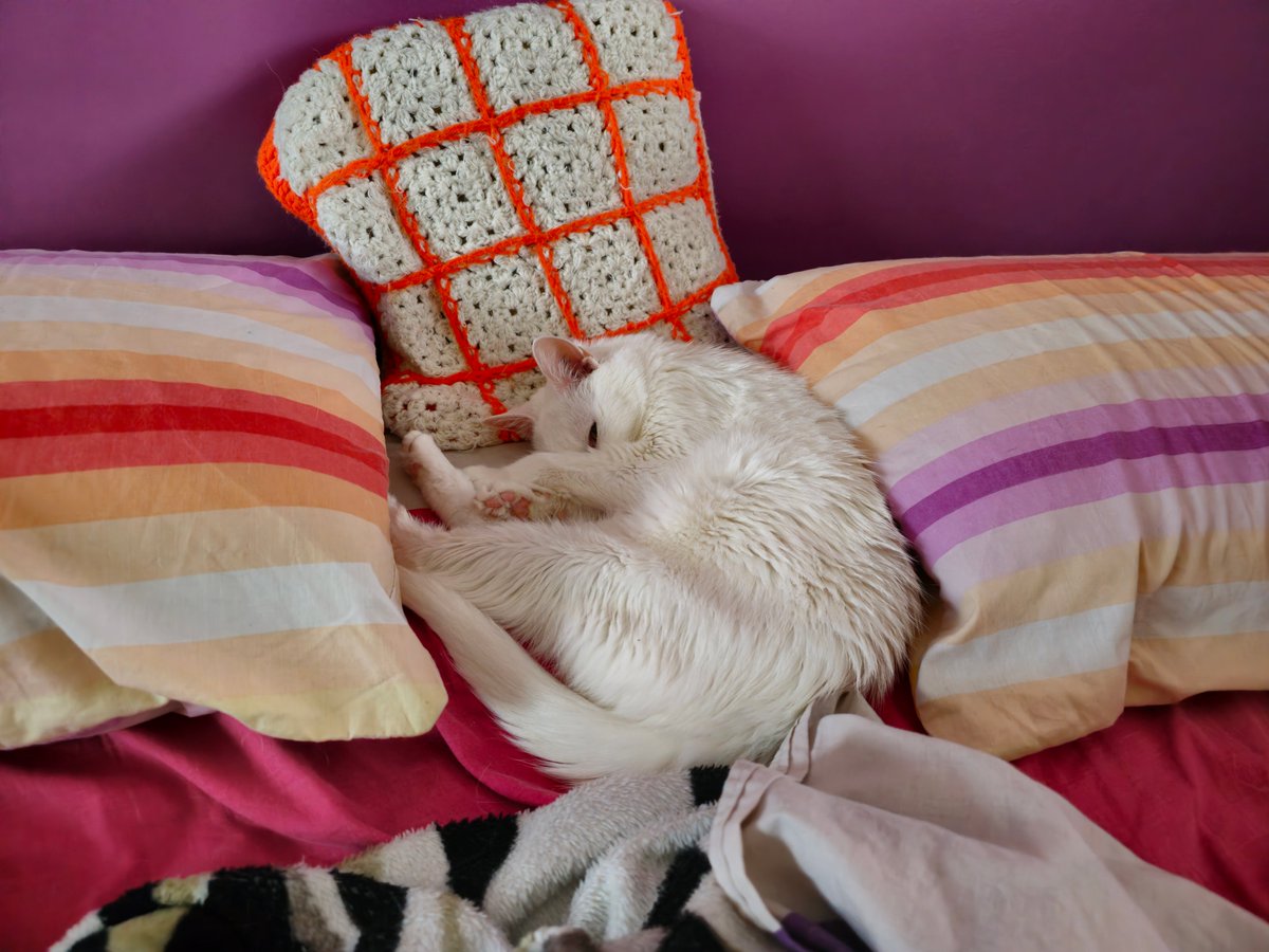 Gustavisimo tweet media