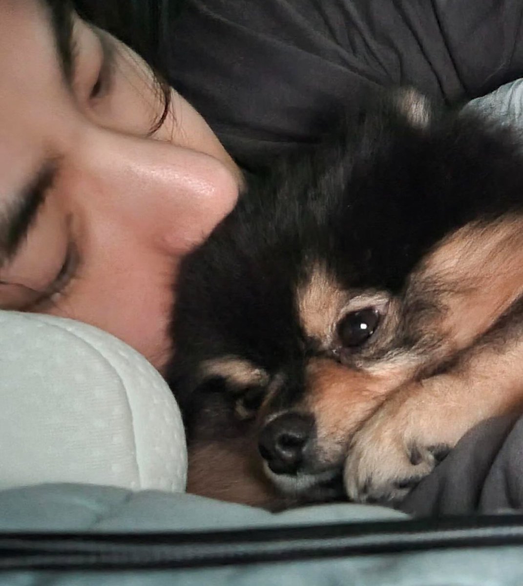 yeontan baby, rest in heavenly peace. i hope you’re breathing without difficulties in the other world 🤎