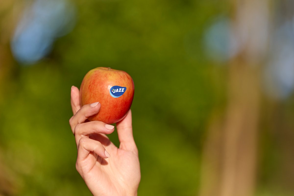 JazzAppleUK's tweet photo. The tangy-sweet taste of a JAZZ just can't be beaten and it's the ultimate snack choice too! What's your favourite time to sink your teeth in to a JAZZ apple? #isitjazztimeyet
.
.
.
#itsjazztime #britishgrown #britishapples #alwaysrefreshing https://t.co/WreP5gzXer