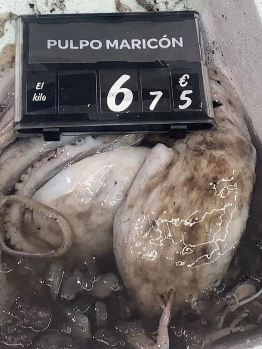 Lau ฅ^•ﻌ•^ฅ (@laulalokita) on Twitter photo 