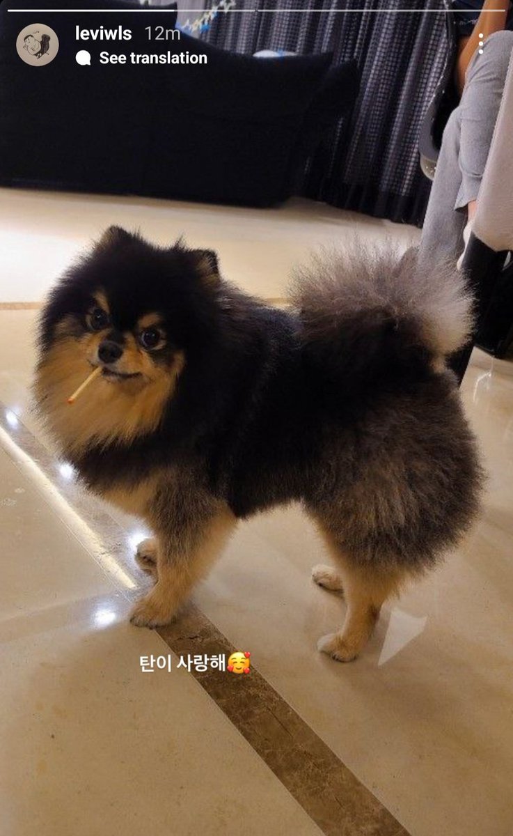 mhereonlyforbts's tweet photo. Levi, Taehyung's close friend and producer posted about Yeontan:

👤:Tan, I love you🥰 https://t.co/s79BkRNhAu