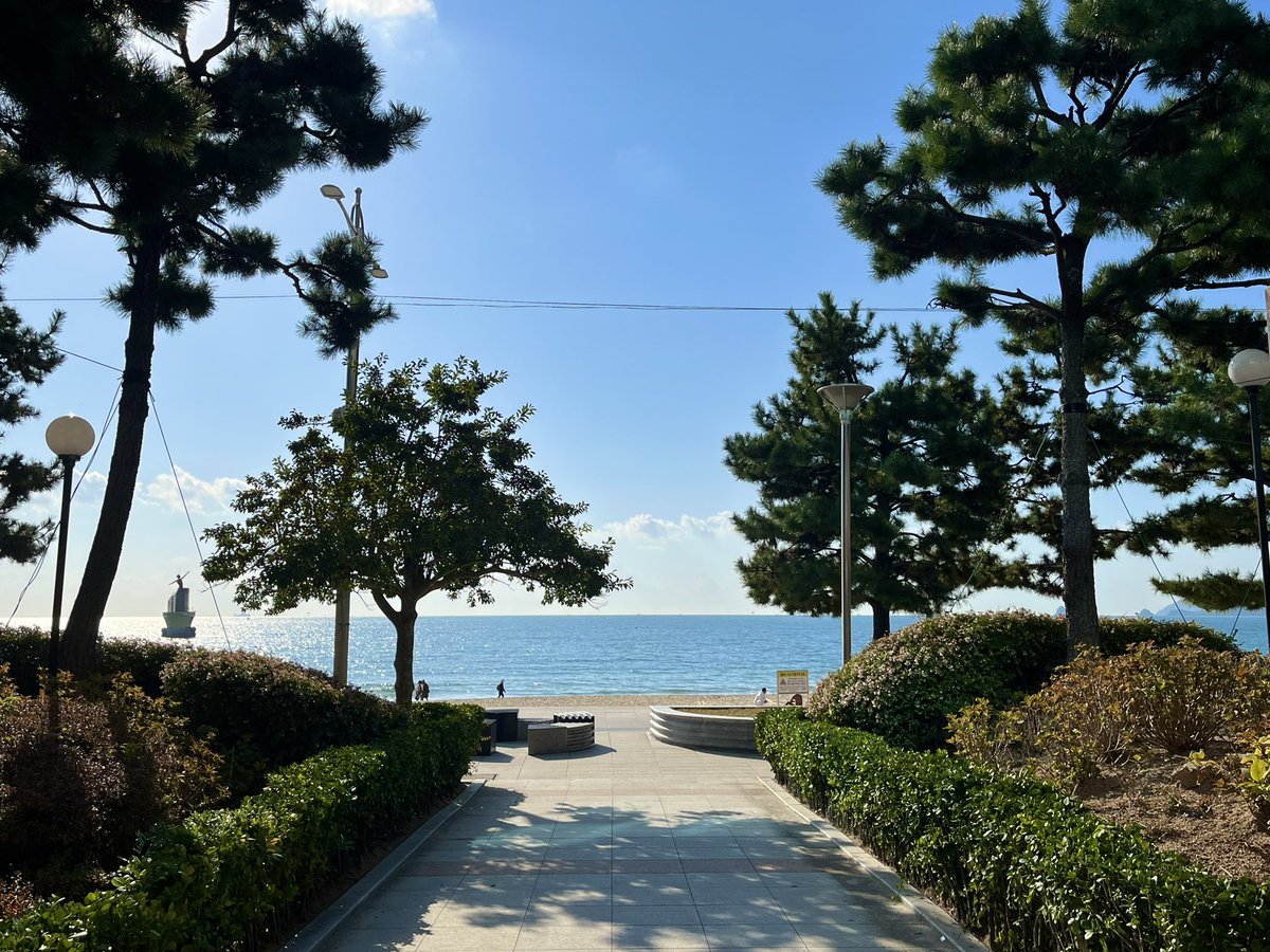 Out of Bexco / office 🇰🇷