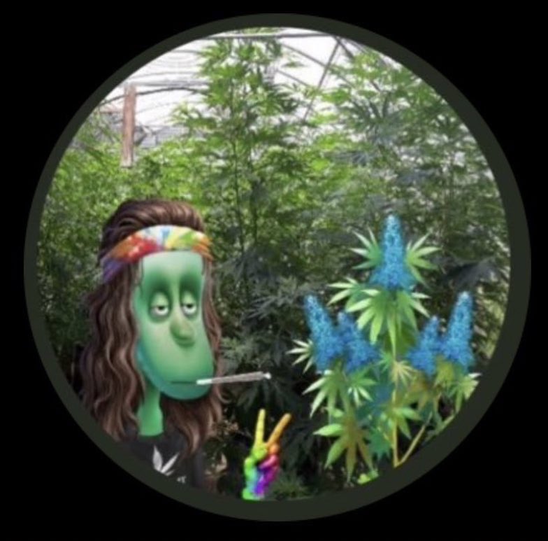 <a href="/WavecrestSea/">Wavecrest</a> <a href="/CryptoCannaClub/">Crypto Cannabis Club</a> Toke toke fam #CCCStillTokin 🌱🔥💨