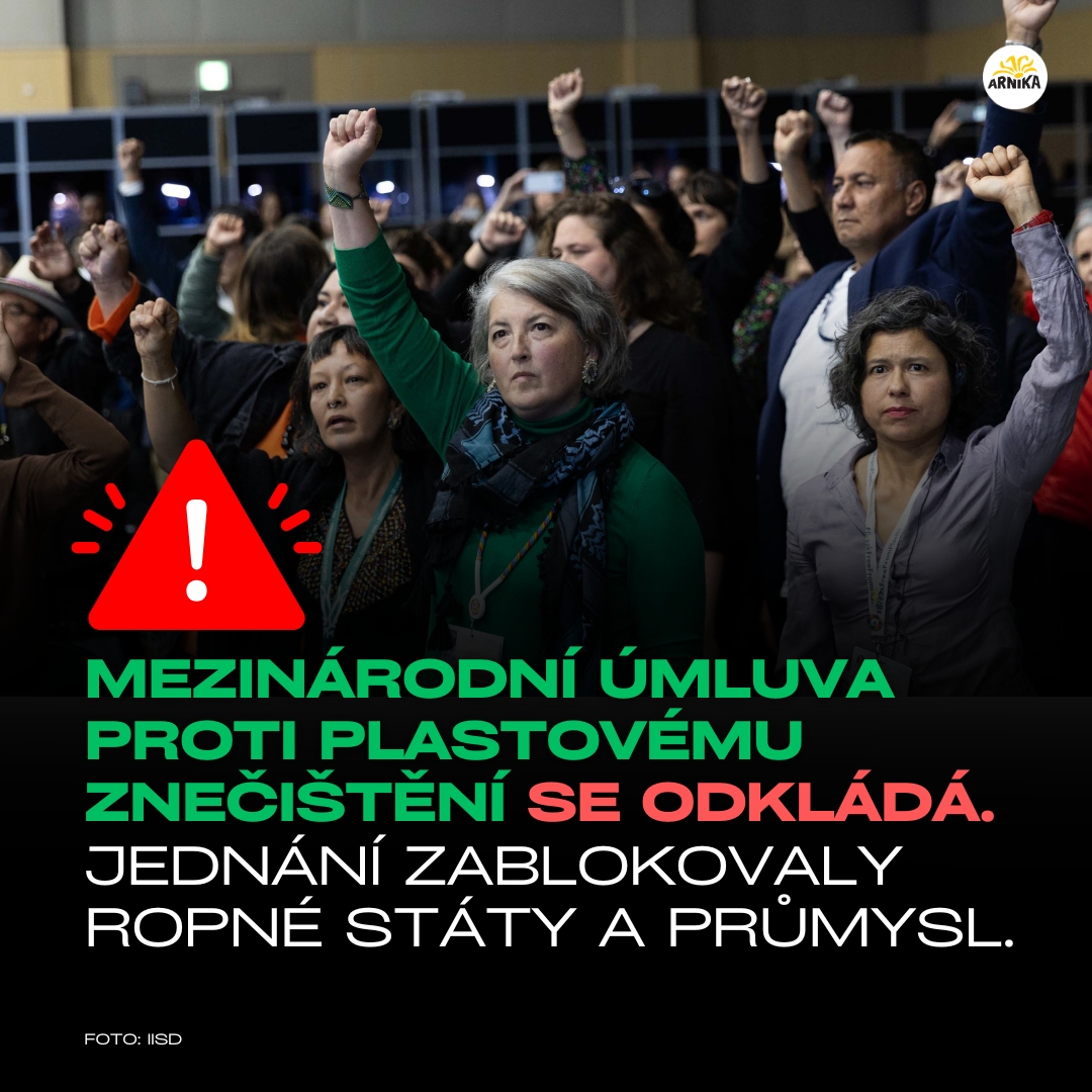 Arnika (@arnikaorg) on Twitter photo 