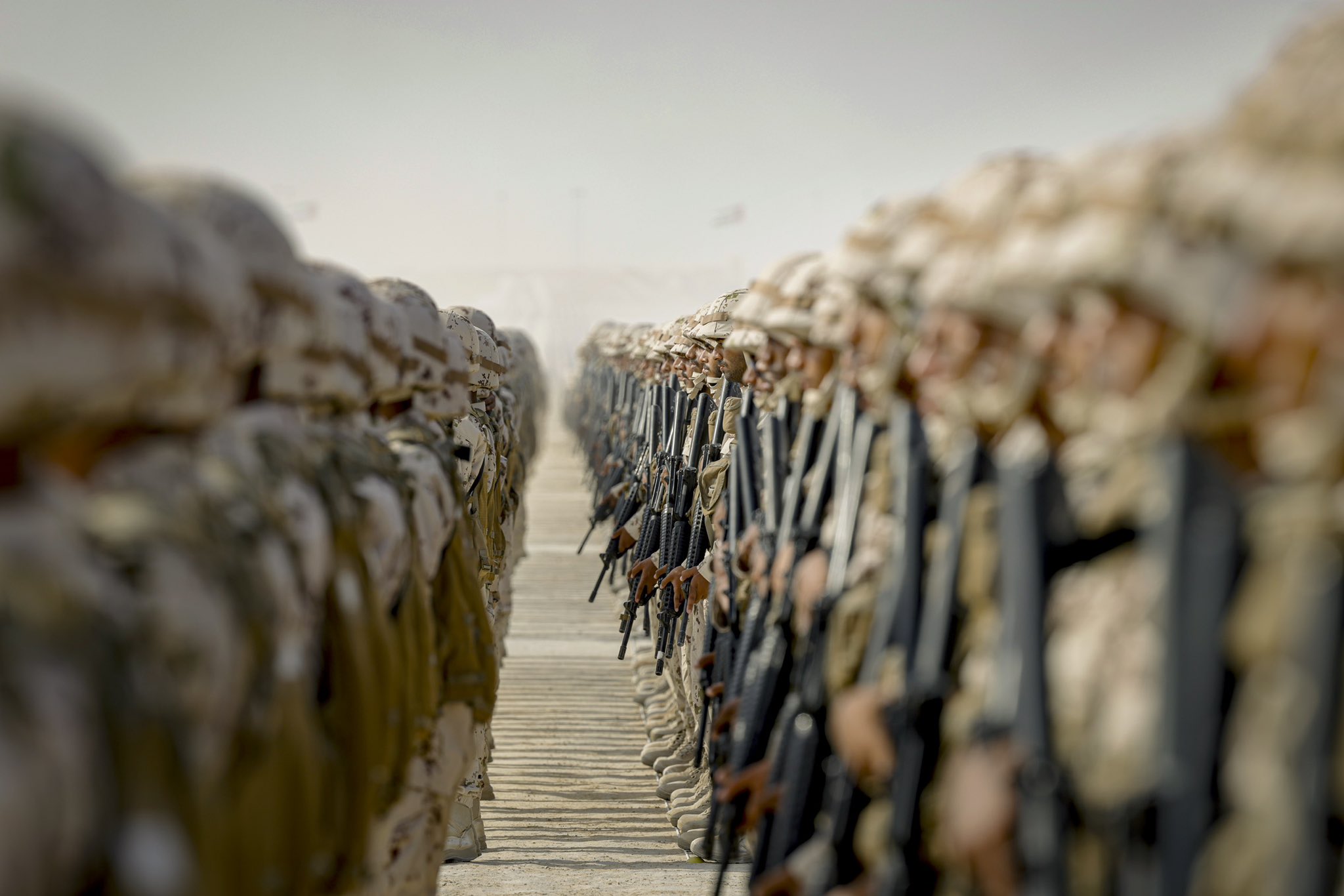 الصورة