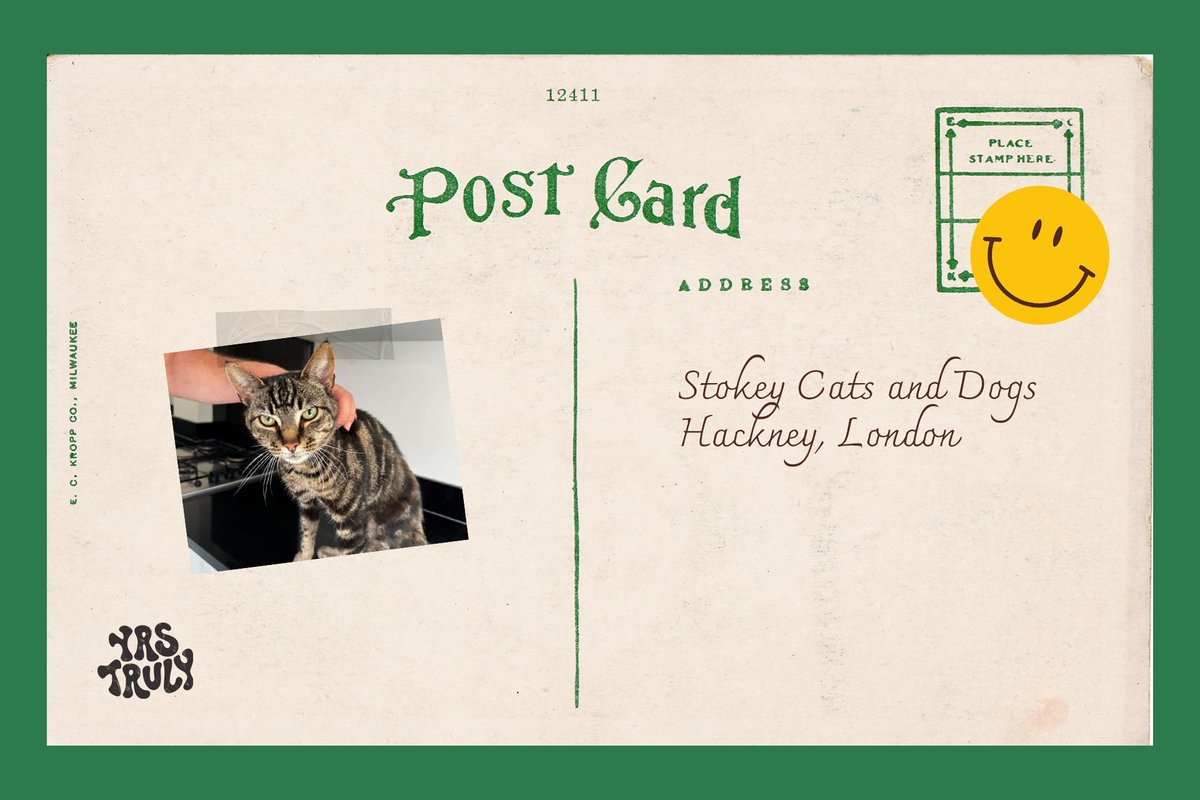YRS TRULY (@yrstrulyuk) on Twitter photo 🎄 Happy December! This year, our celebrations will look a little different: starting today, we'll donate £500 to a local charity every week until Christmas.
Week 1 is Stokey Cats and Dogs, a volunteer animal rescue group. <a href="/StokeyCatsnDogs/">Stokey Cats and Dogs</a> 🎄 Happy December! This year, our celebrations will look a little different: starting today, we'll donate £500 to a local charity every week until Christmas.
Week 1 is Stokey Cats and Dogs, a volunteer animal rescue group. <a href="/StokeyCatsnDogs/">Stokey Cats and Dogs</a>