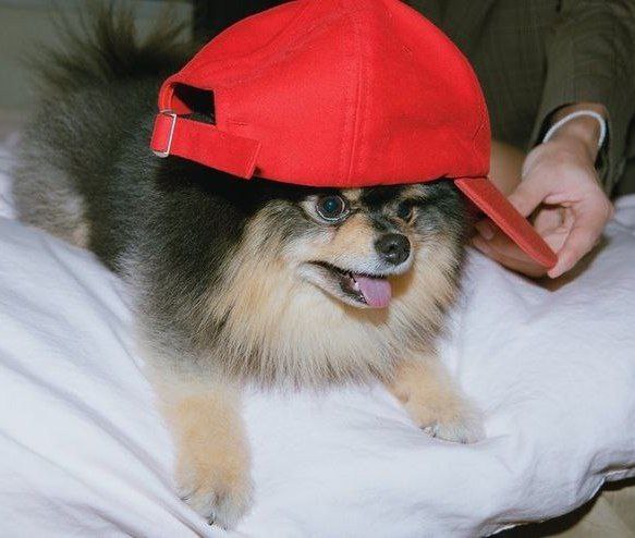کوچیک ترین عضو دنیای بنفش امیدوارم در آرامش باشی
BORAHAE TAEHYUNG
WE LOVE YOU YEONTAN 
WE LOVE YOU TAEHYUNG
ALWAYS WITH YEONTAN
WITH TAEHYUNG TILL THE END