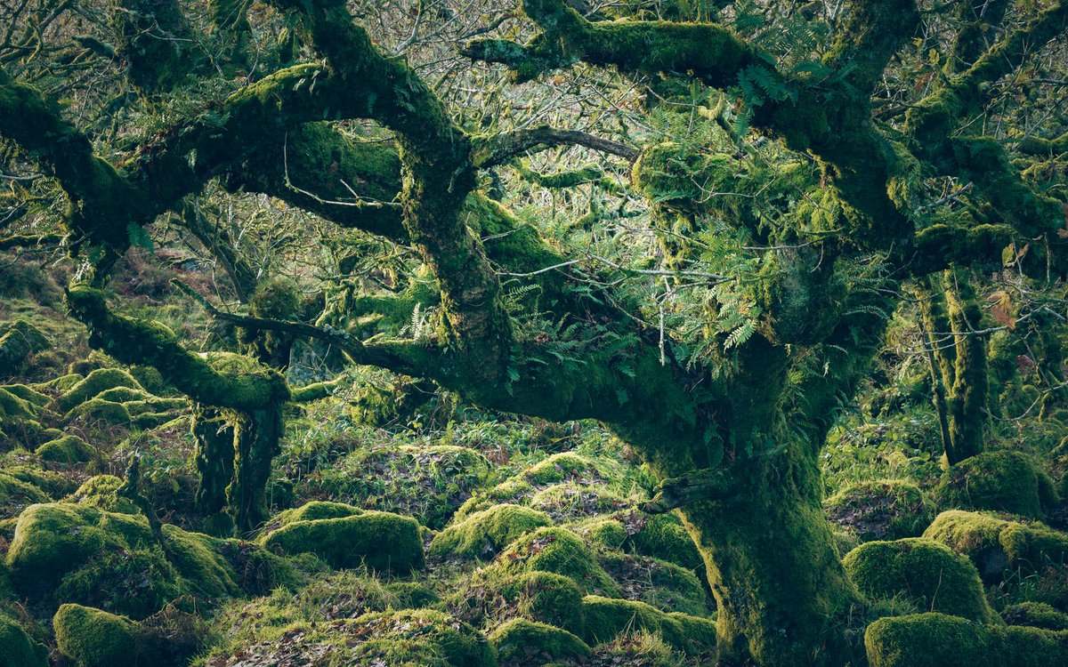 First light

#sharemondays2024
#fsprintmonday 
#appicoftheweek