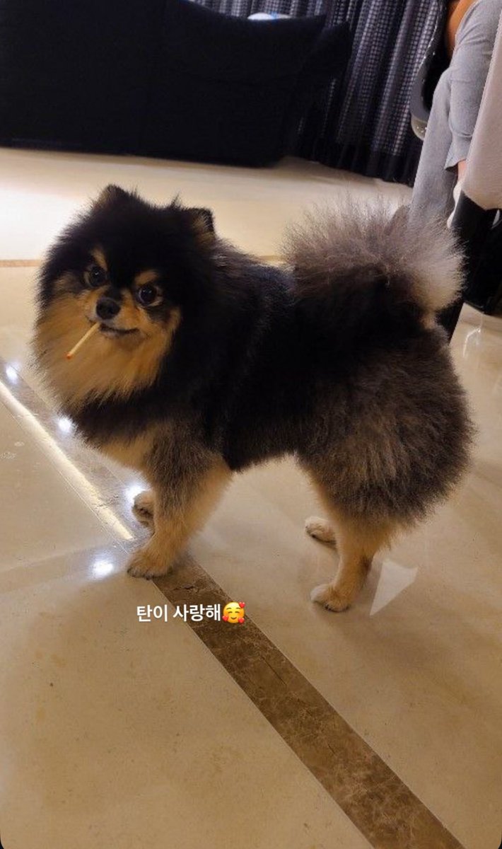 taeguide's tweet photo. Taehyung’s best friend from Highschool also sends his condolences on Tannie’s passing https://t.co/LTVw4rdv11