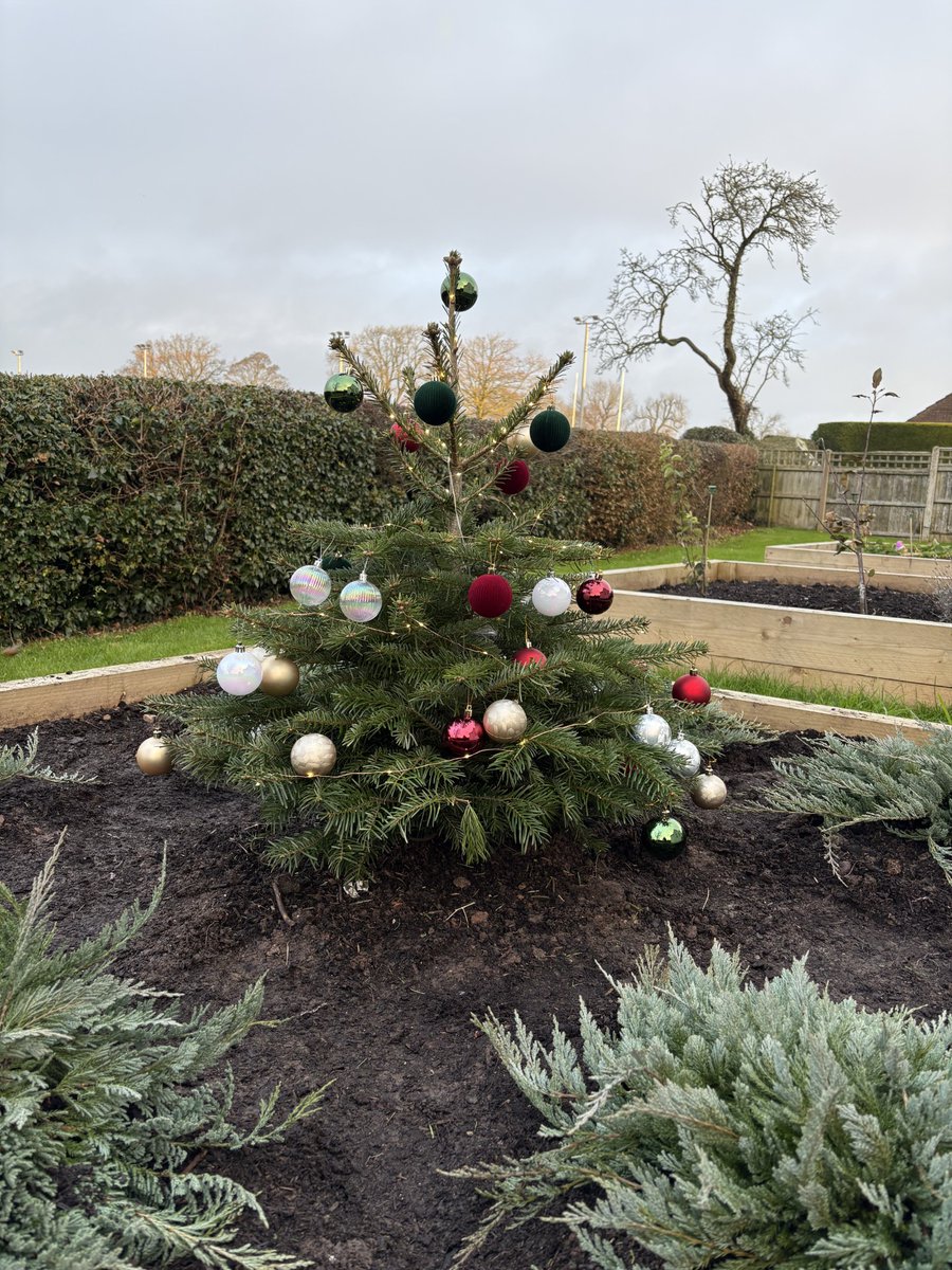 A big shoutout to Izzy for organising a festive treat! Mrs Robinson's Form brought the holiday spirit to life by decorating the tree in our wellbeing garden. A wonderful way to spread cheer and brighten up the season! 🌟💚

#DenstoneCollege #FestiveSpirit #WellbeingGarden