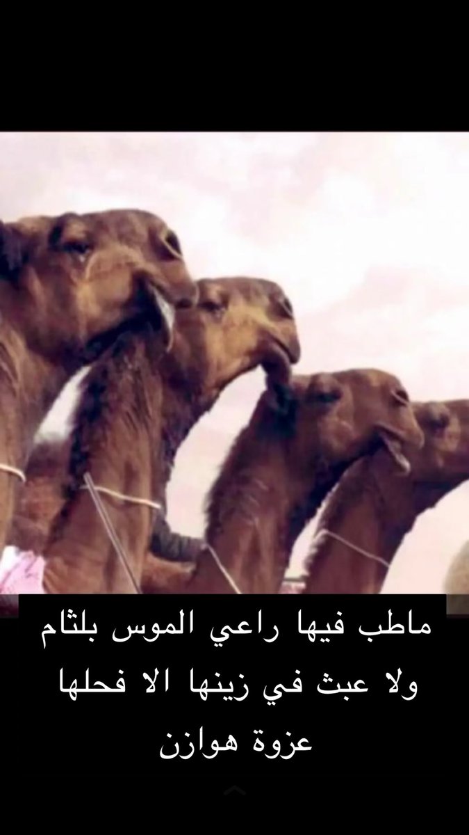 #لطامات_منقيه_الجزيره
اليا حظرت سمت على كل الارقام 
في عرضها وين النخب وين اهلها 

ماطب فيها راعي الموس بلثام 
ولا   عبث  في  زينها  الا فحلها 
عزوة هوازن