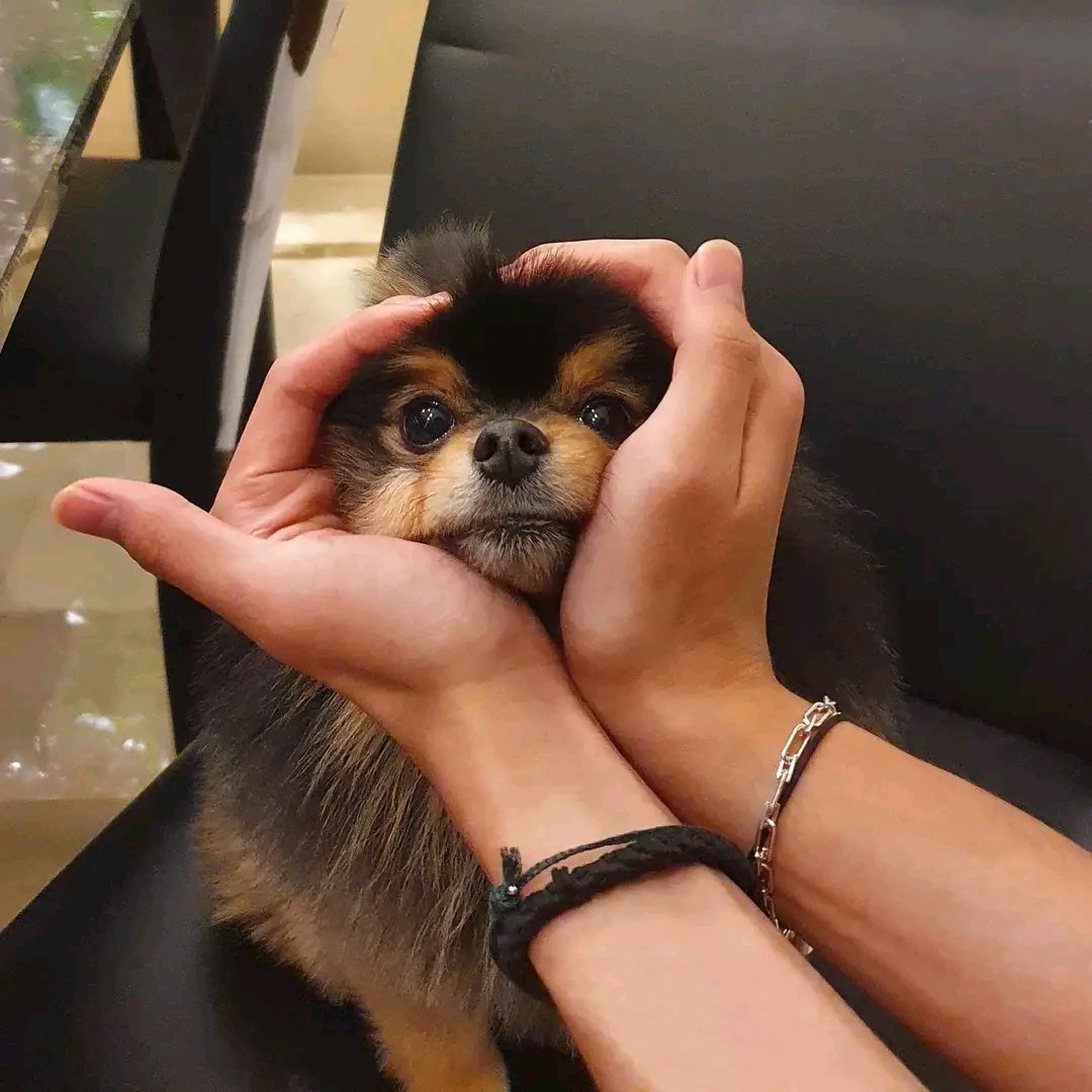 Tonightjin92's tweet photo. Yeontan🥀💔🥺 https://t.co/NLmFnwKoJ1