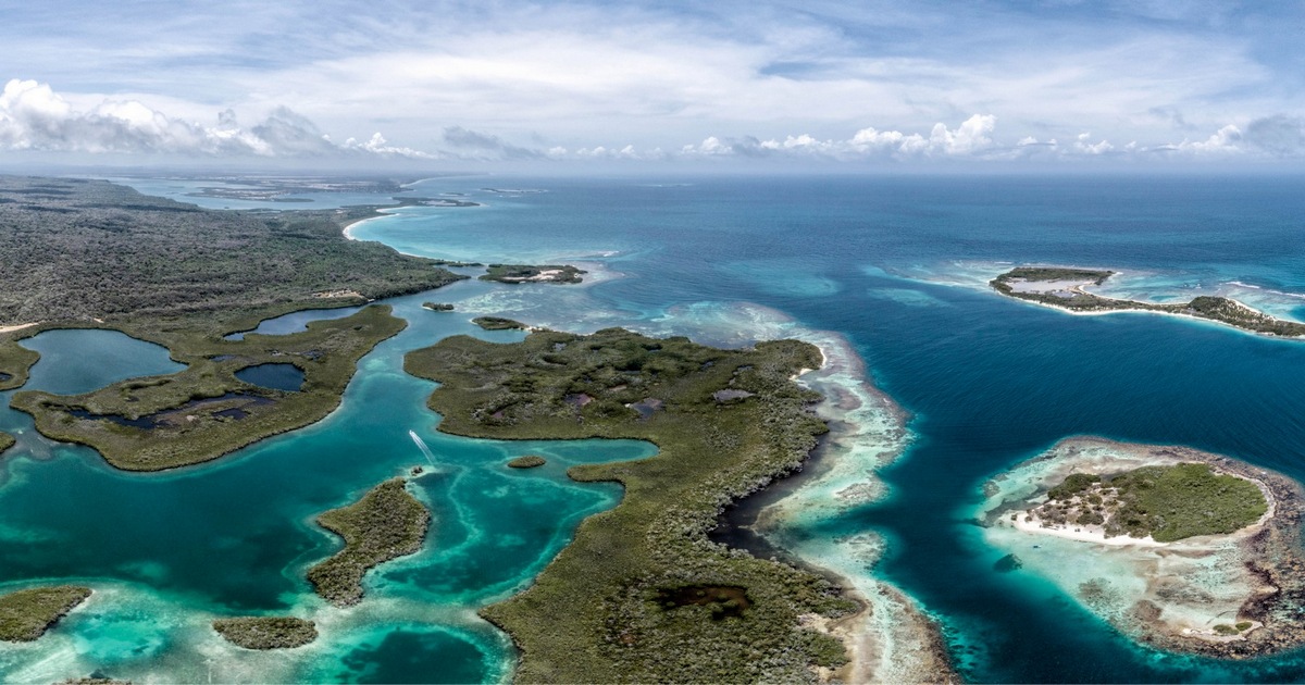 [La Bpi aime ❤️] la 11e Tribune de <a href="/Le_Museum/">Muséum national d'Histoire naturelle</a>, "Un océan en commun". Rendez-vous samedi à 15h au Jardin des Plantes pour échanger avec des scientifiques autour du partage de l'océan. Plus d’infos 👇
mnhn.fr/fr/evenement/l…